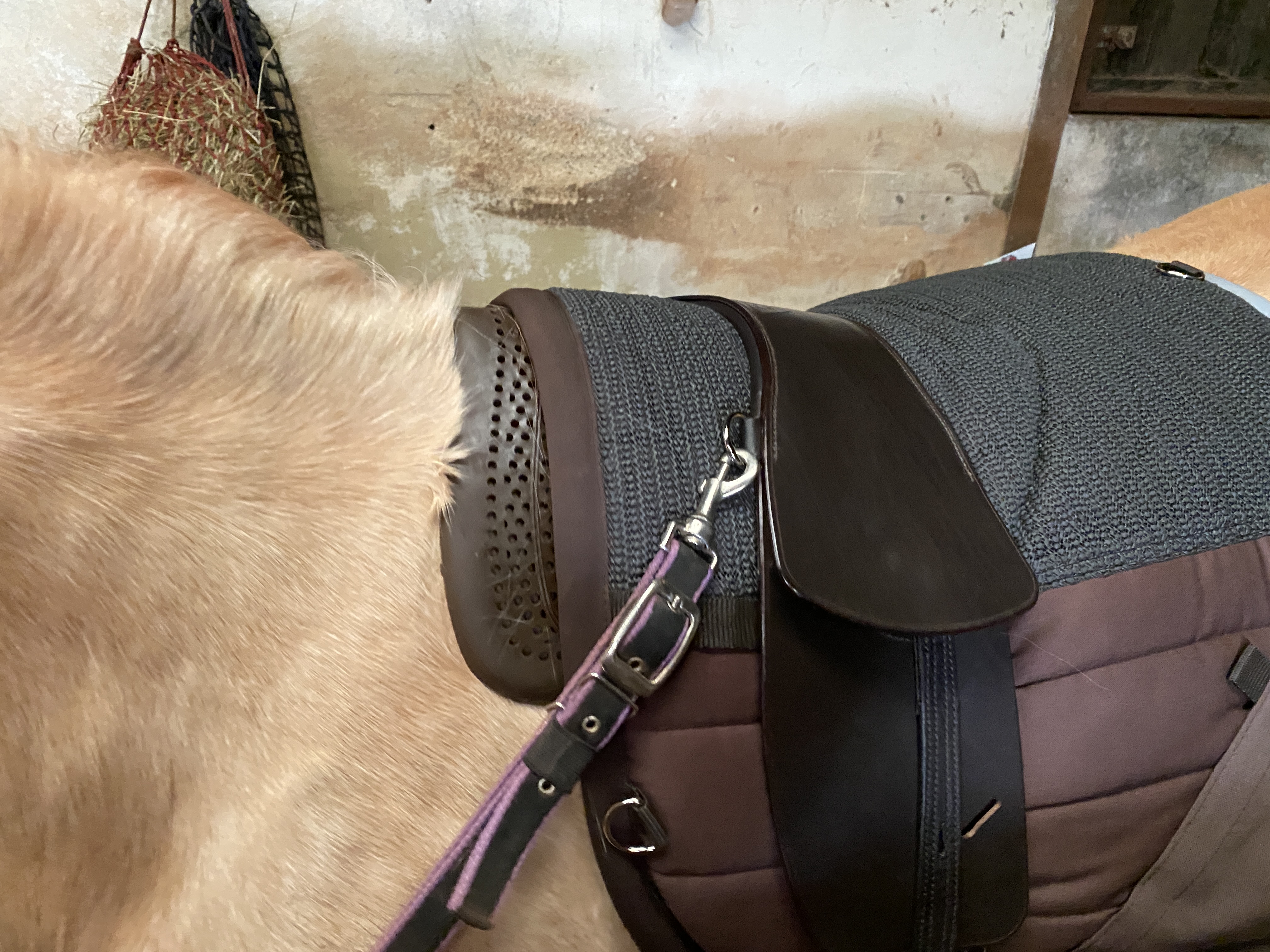 Total Contact Saddle (4)